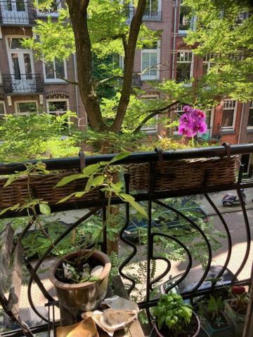 Bed and Breakfast Bohemian loft Ámsterdam Exterior foto